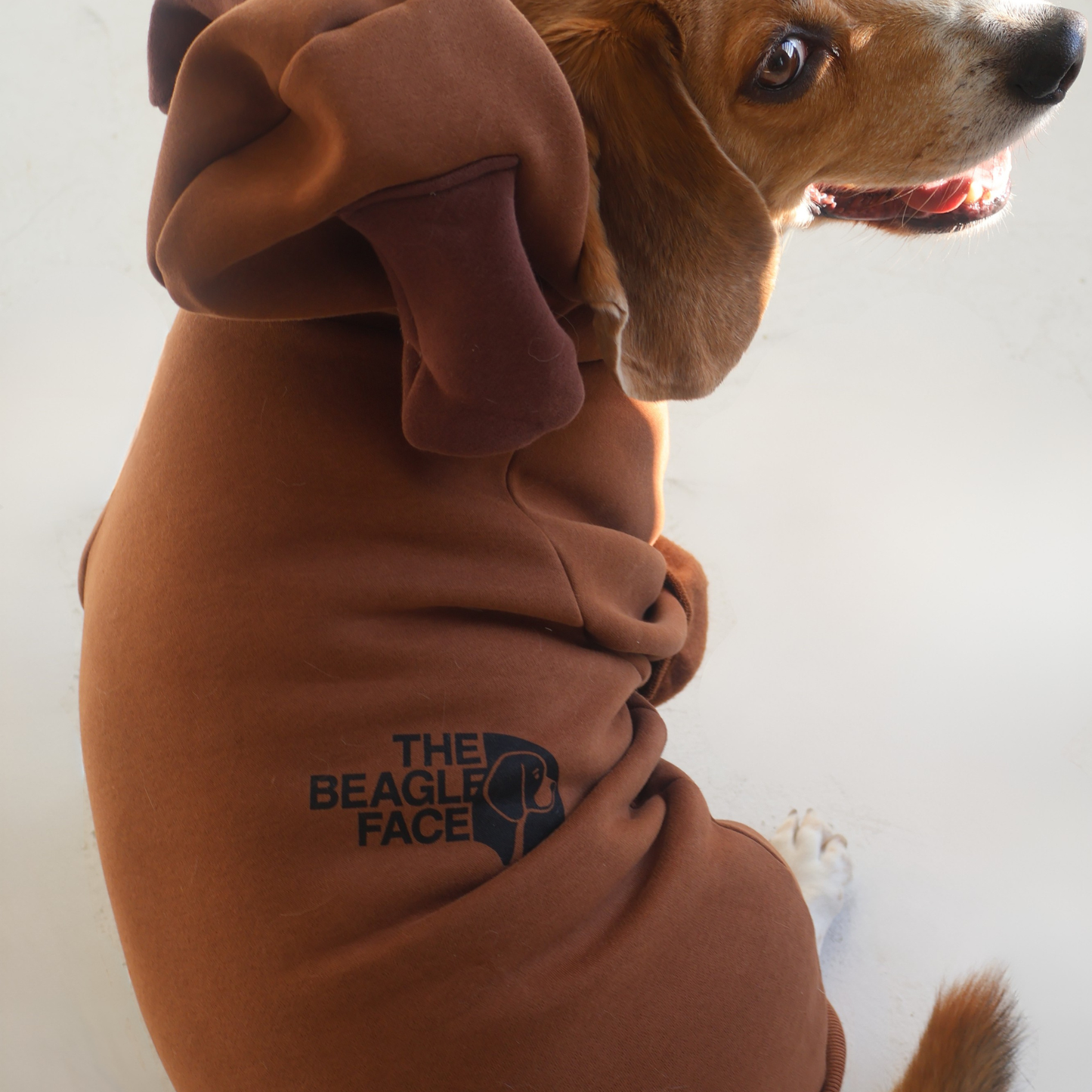 Beagle wearing size large Beagle Face Lounger Hoodie in brown