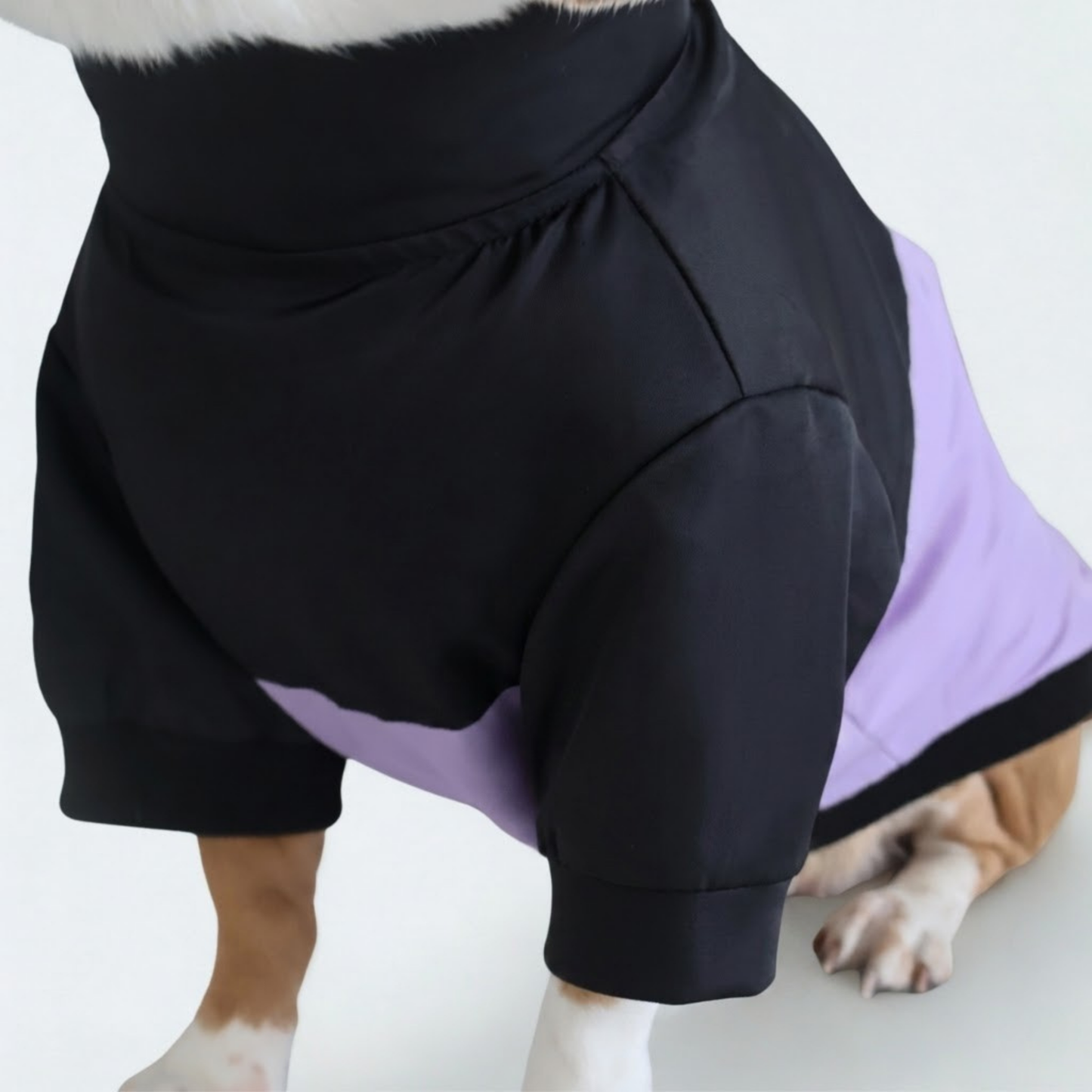 The Beagle Face Zip Up - Lavender