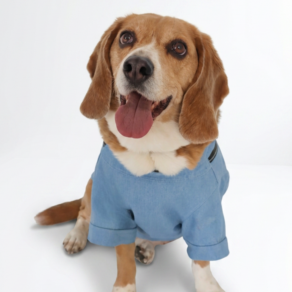 The 2 in 1 Harness Denim Jacket