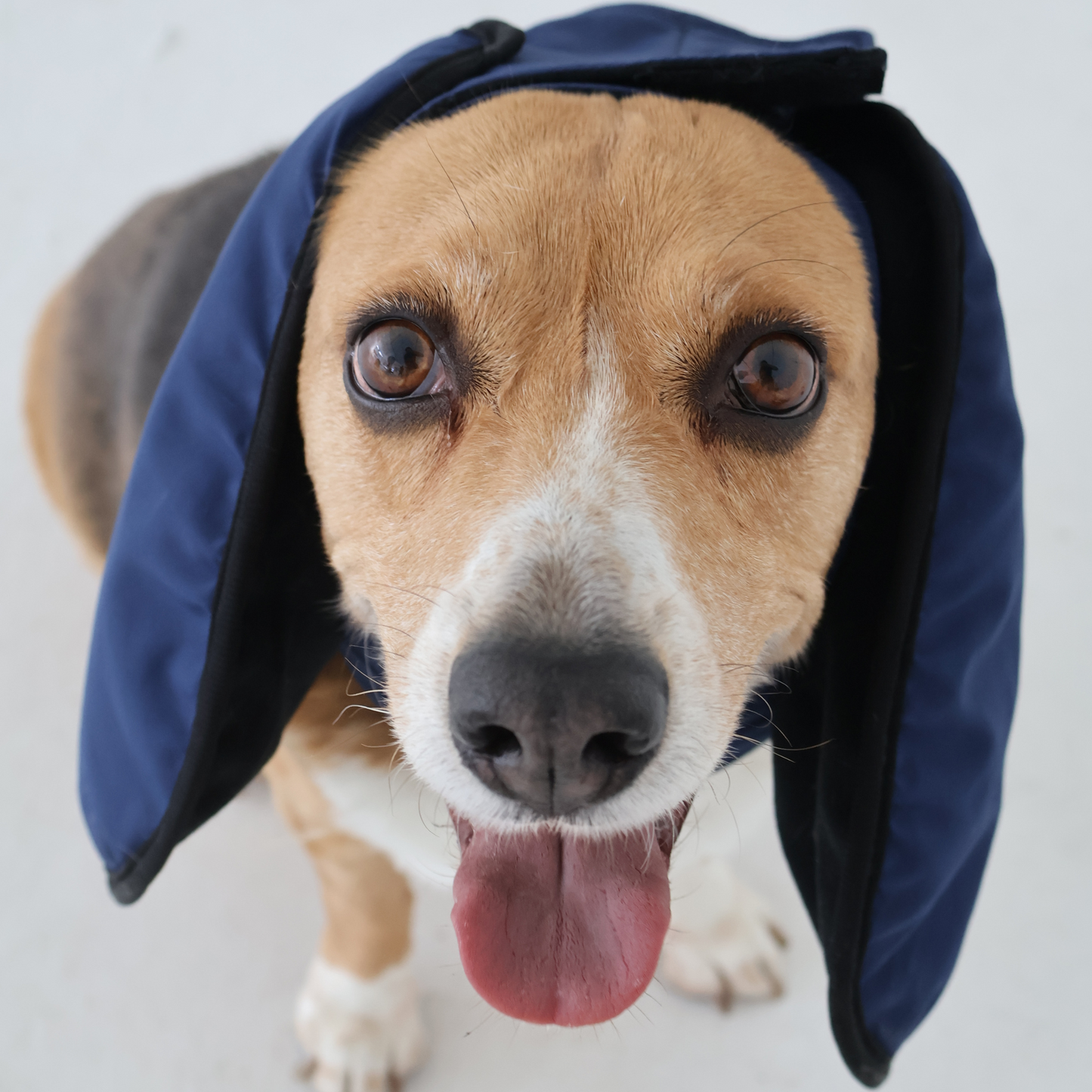Midnight Howl (Navy Blue) Ear Muffs