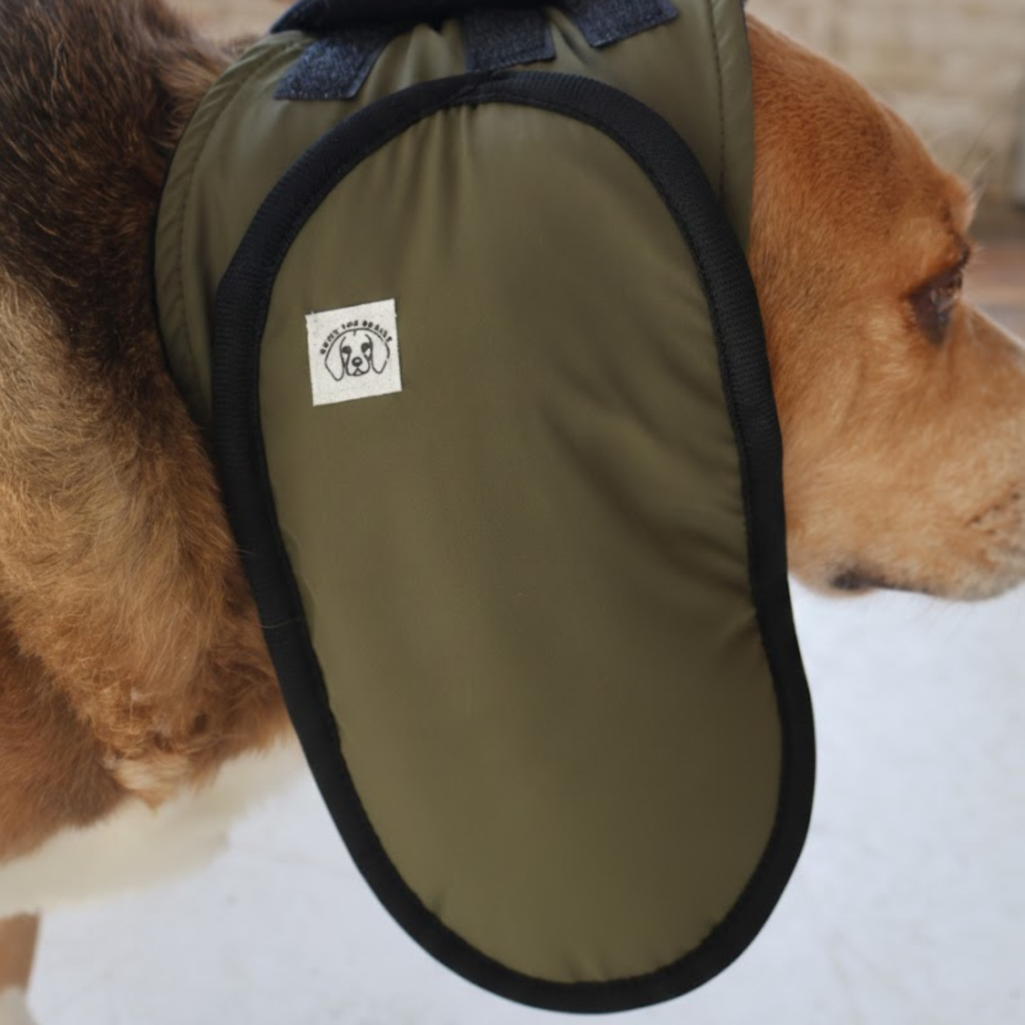 Side view of dog wearing forest green ear muffs on a plain background