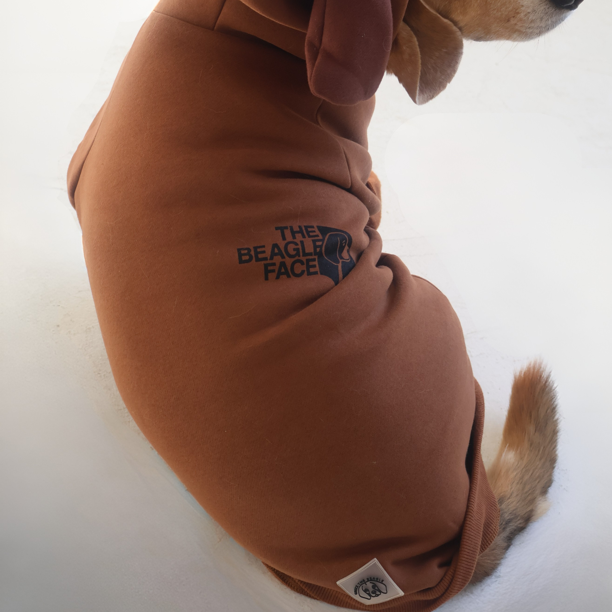 Beagle wearing size large Beagle Face Lounger Hoodie in brown