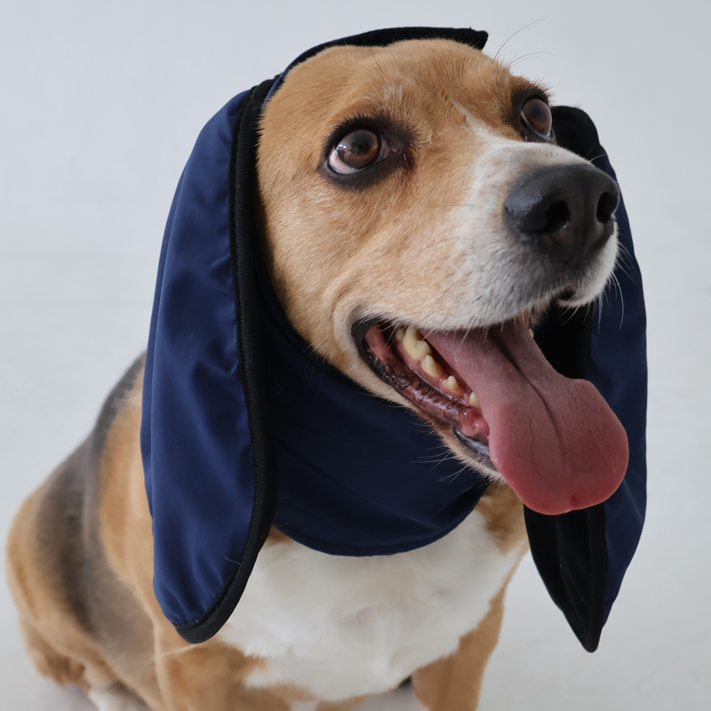 Midnight Howl (Navy Blue) Ear Muffs