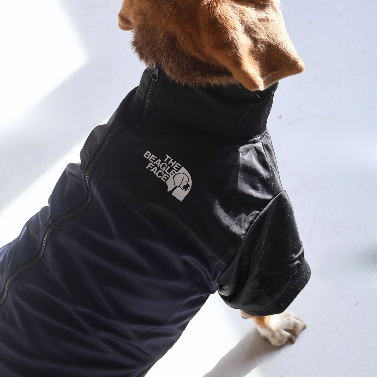 The Beagle Face Zip Up