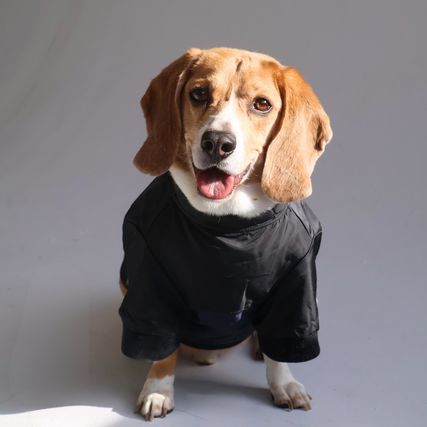 The Beagle Face Zip Up