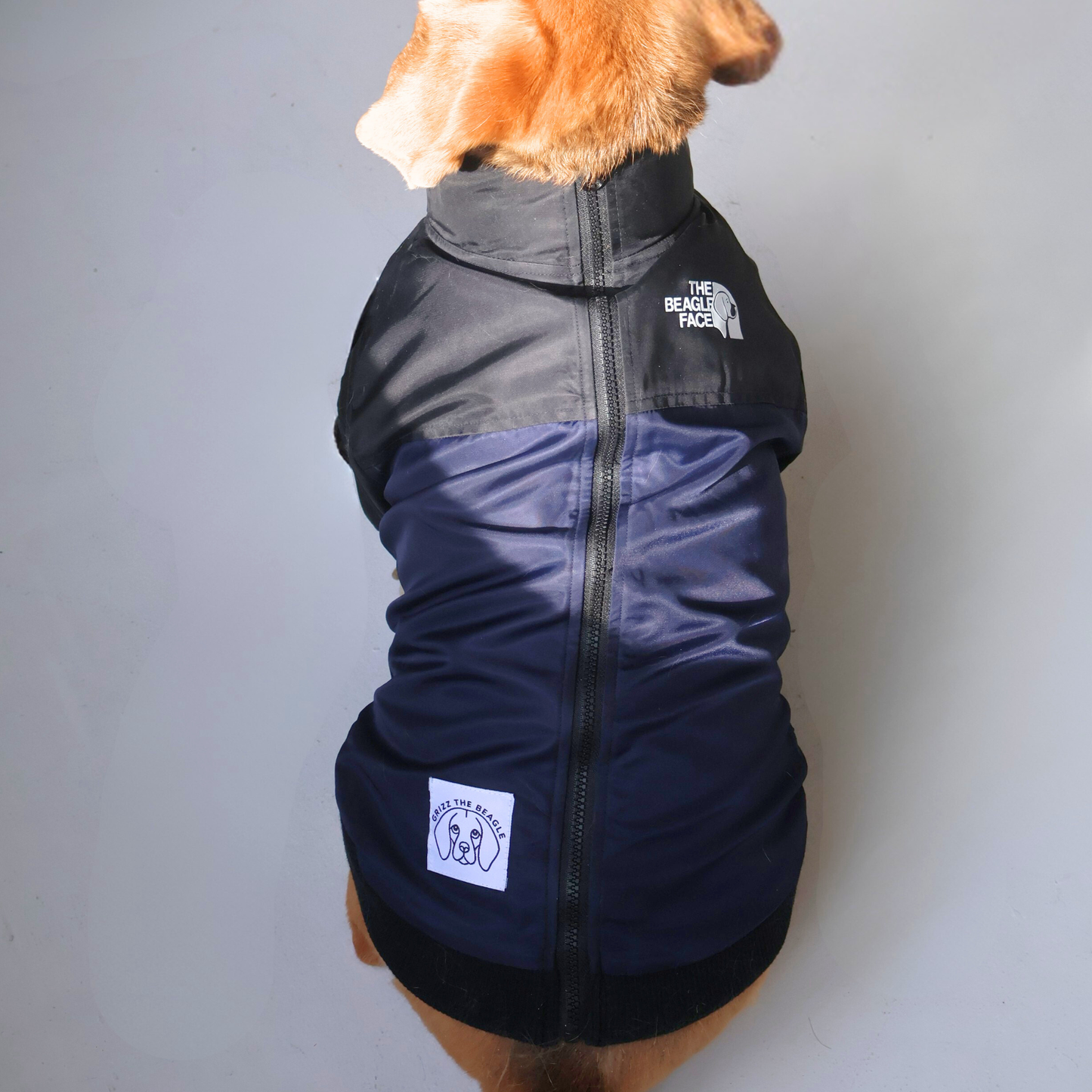 The Beagle Face Zip Up