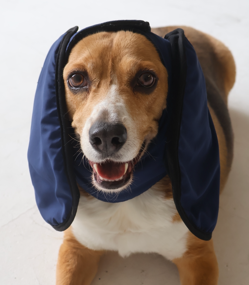 dog goggles and earmuffs Navy Blue Beagle Ear Muffs