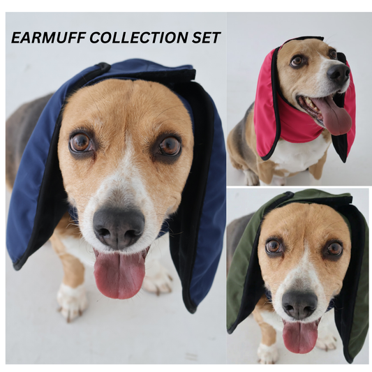 Three dogs wearing colorful earmuffs on a white background with 'Earmuff Collection Set' text.