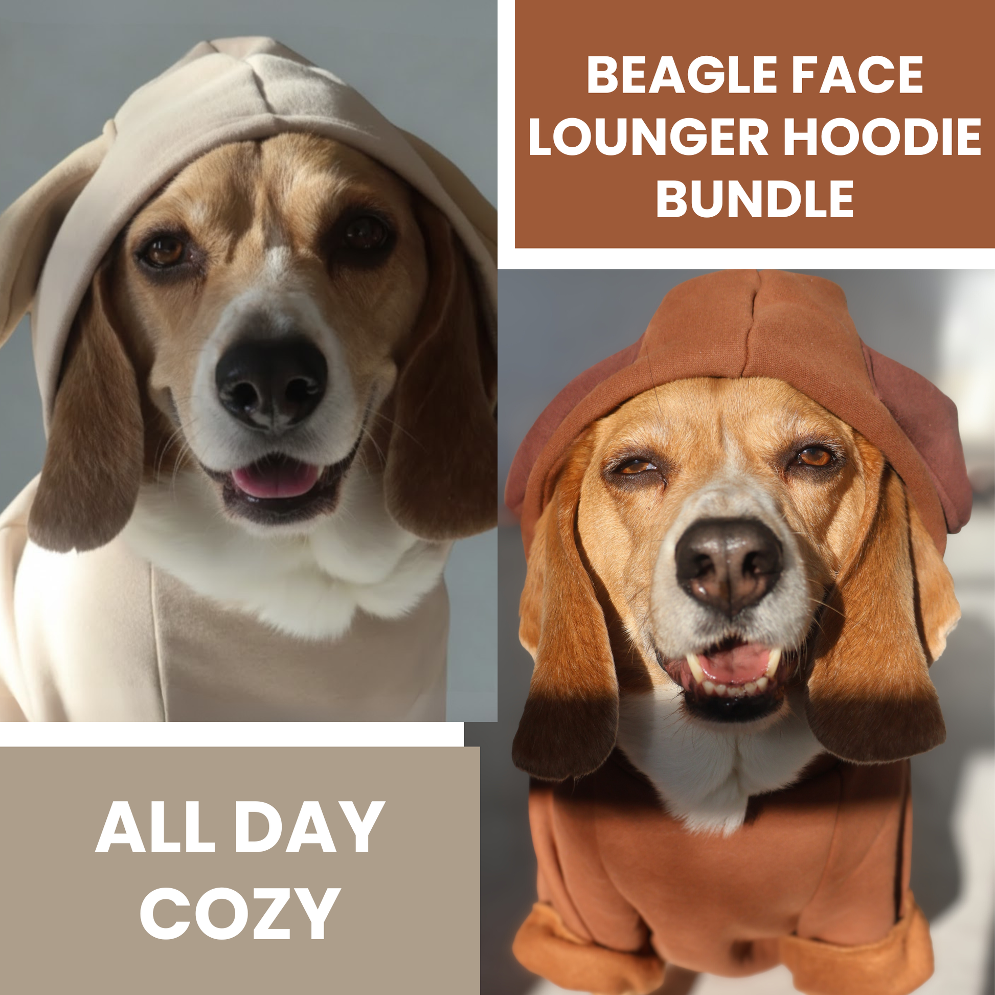 Two dogs wearing hoodies with text about a 'Beagle Face Lounger Hoodie Bundle'.