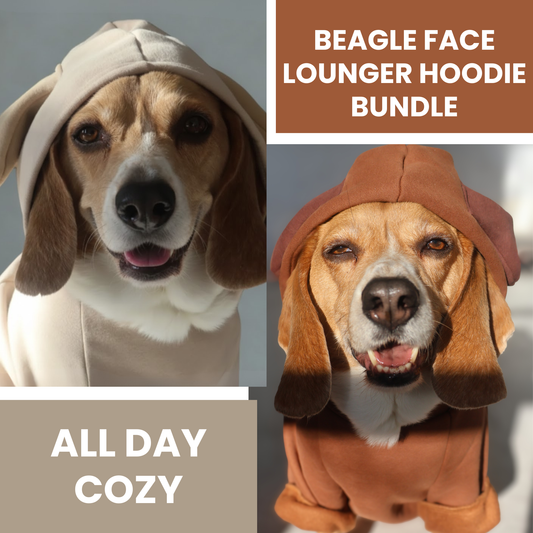 Two dogs wearing hoodies with text about a 'Beagle Face Lounger Hoodie Bundle'.